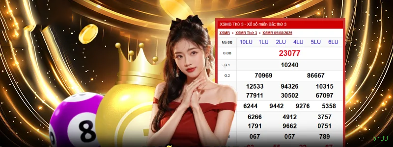 Controles de paJogonto e BRL em br99